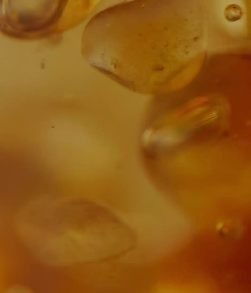 Fermentation statt Verarbeitung